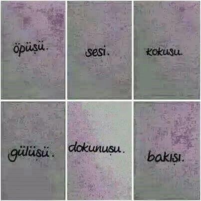 sevdiğin insanın en çok neyini seversin?