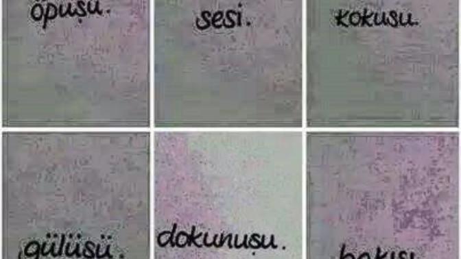 Sevdiğin insanın en çok neyini seversin?