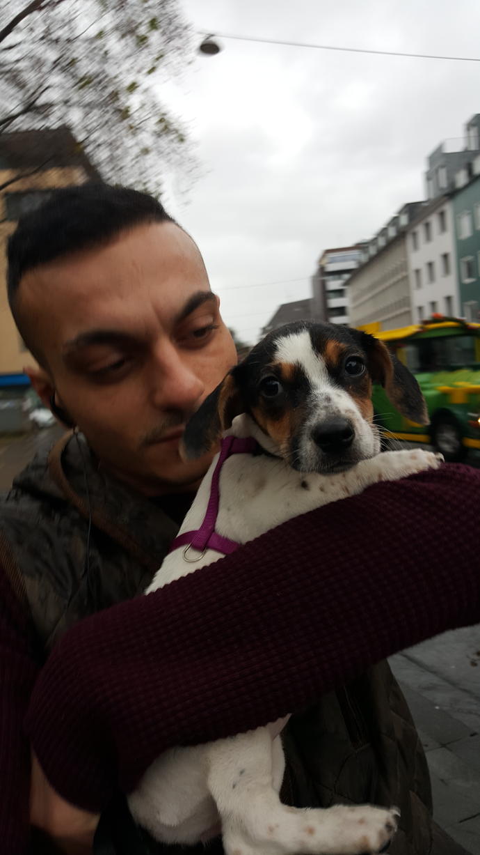 Yavru köpekler büyüdükçe göz renkleri degisirmi?