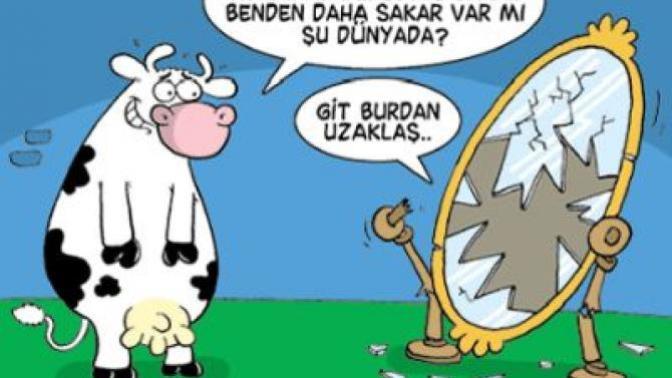 En son yaptığınız sakarlık neydi?