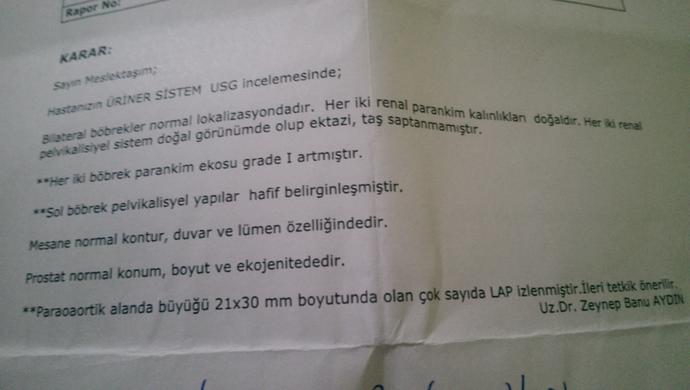 Ultrason dan anlayan var mı?