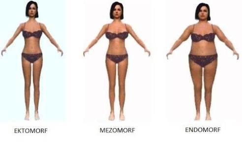 Sizin vücut tipiniz hangisi?
