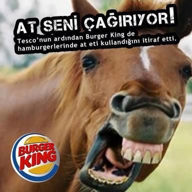 Burger King ürünlerinde At eti kullandığını kabul etti Siz neler dusunuyorsunuz bu konu hakkinda?