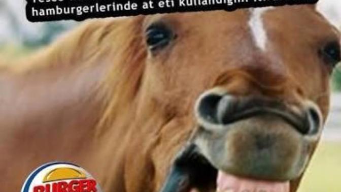 Burger King ürünlerinde At eti kullandığını kabul etti Siz neler dusunuyorsunuz bu konu hakkinda?