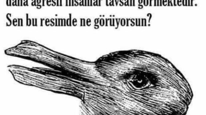 Resimde ne görüyorsunuz arkadaşlar?