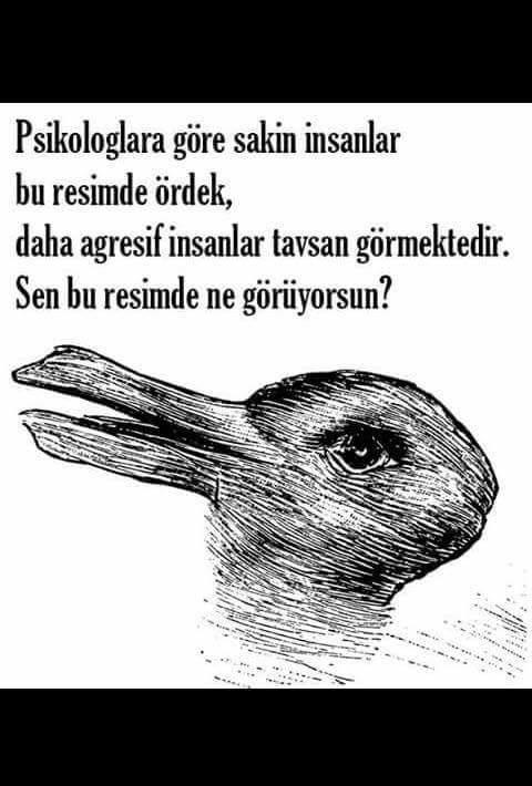 Agresif misin sakin mi ?