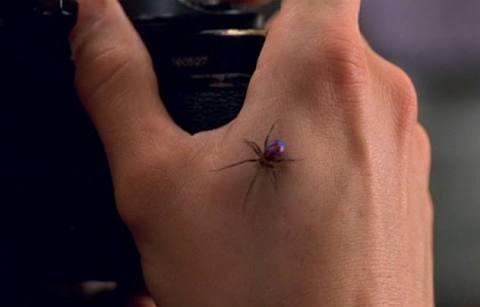 Peter Parker' ı örümcek ısırınca örümcek adam olmuştu; peki  b*k  böceği ısırsaydı  b*k  adam mı olurdu?