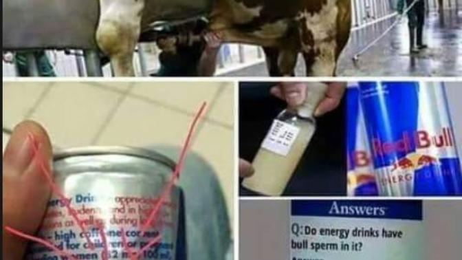RedBull İçenler Dikkat Çünkü?
