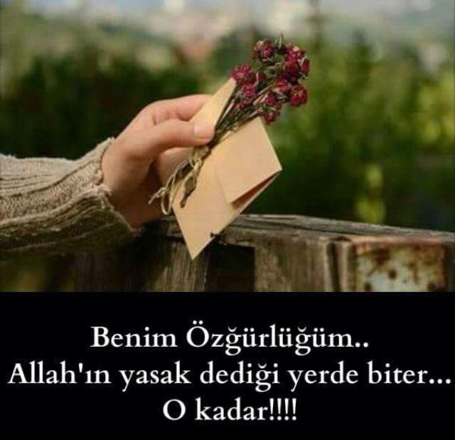 Özgürlüğünüz nerde biter?