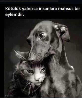 Kötülük yalnızca insanlara has bir eylem midir ?