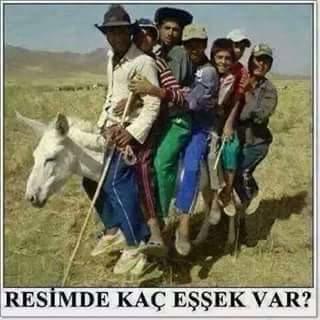 resimde kaç eşek var :)?
