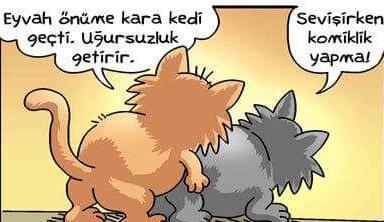 #KaraKedi Uğursuzluk Getirir mi?