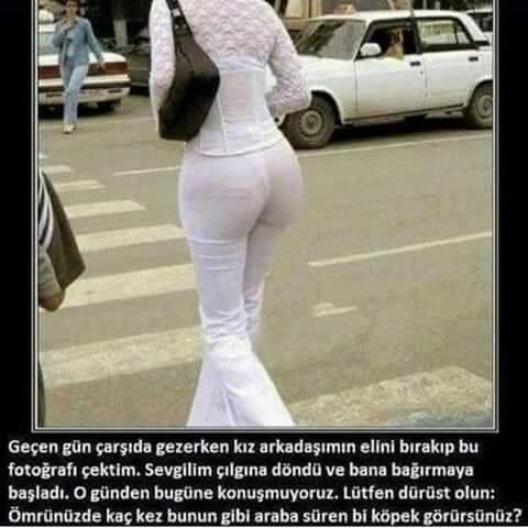 siz hiç araba süren köpek gördünüzmü?