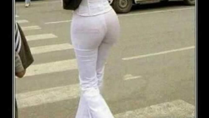 Siz hiç araba süren köpek gördünüzmü?