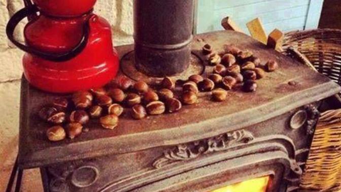Sobada Kestane sever misiniz (Resimli) ?