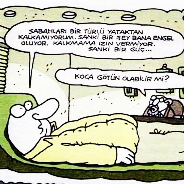 Herkese günaydın Uyandınızmı yoksa benim gibi akşam mı ayıkırsınız?