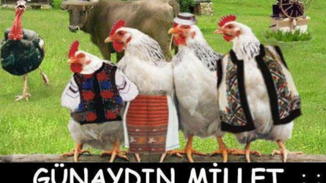 Herkese günaydın Uyandınızmı yoksa benim gibi akşam mı ayıkırsınız?