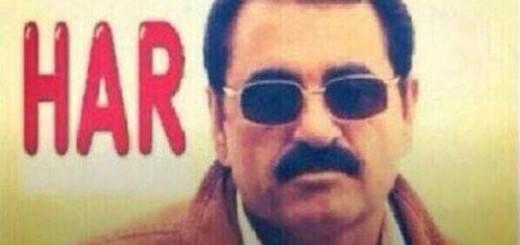 Jelibon sever misiniz :) :) ?