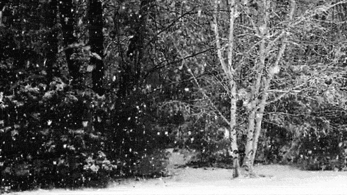 Hangi mevsimi seversin ☃❄ ☀️🌇?