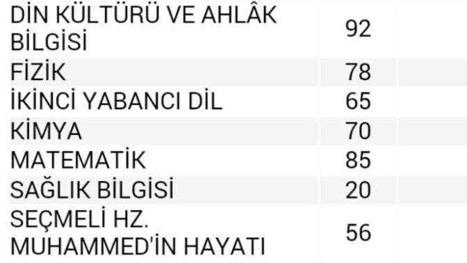 Lise 1 olan Kızımın notları cokmu düşük ne tepki gostermeliyim bu duruma?