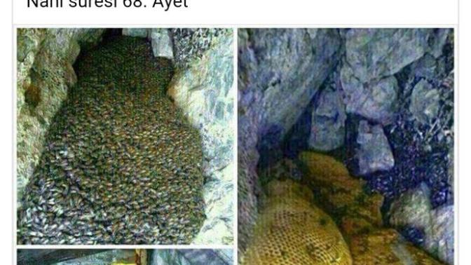 Türkiye neden İslam'dan uzaklaşıyor?