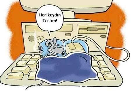 Sevgiliyle nerelerde sevişilir?