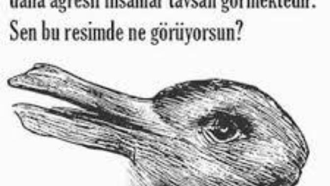 Sen bu resimde ne görüyorsun?
