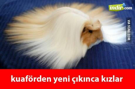 Beyler bayanlar!kuaforden ciktiginiz da kendinizi nasil hissediyorsunuz?