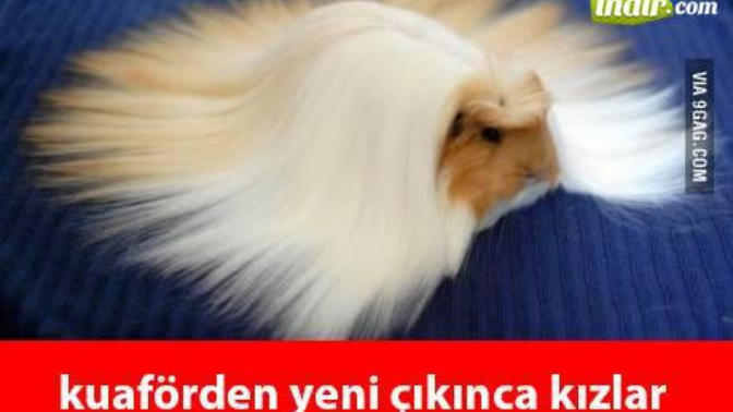 Beyler bayanlar! kuaförden çıktığınız da kendinizi nasıl hissediyorsunuz?