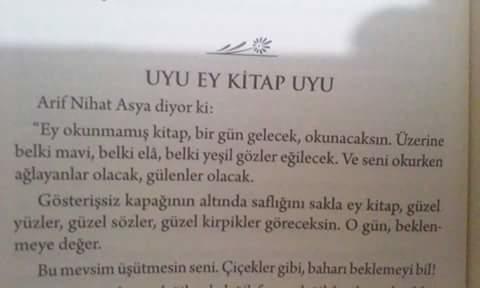 Cansız bir varlık olsaydınız ne olmak isterdiniz?