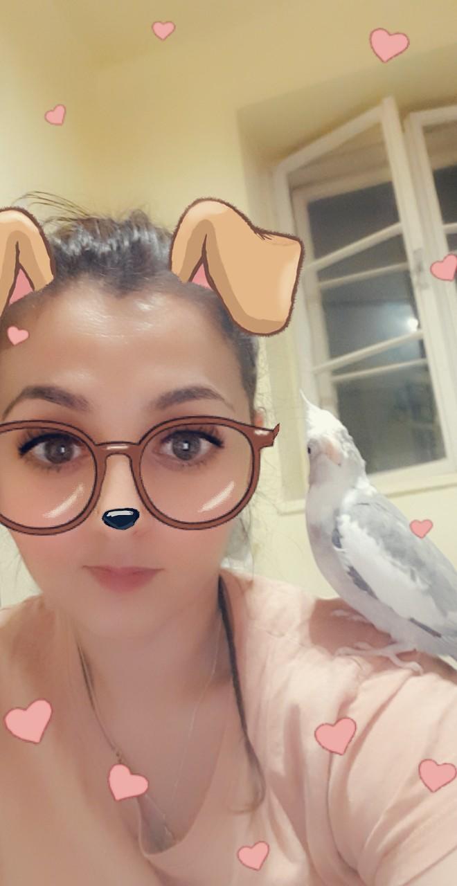 Sultan papağanı besleyen var mı?