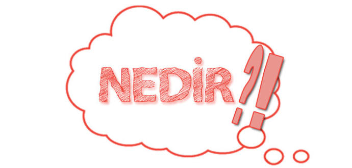 Gerantofili hakkında bildikleriniz nelerdir _?