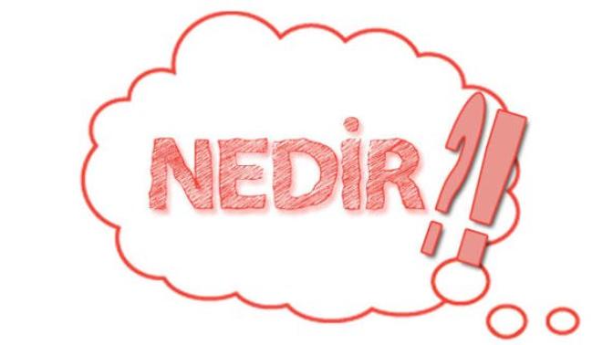 Gerantofili hakkında bildikleriniz nelerdir _?