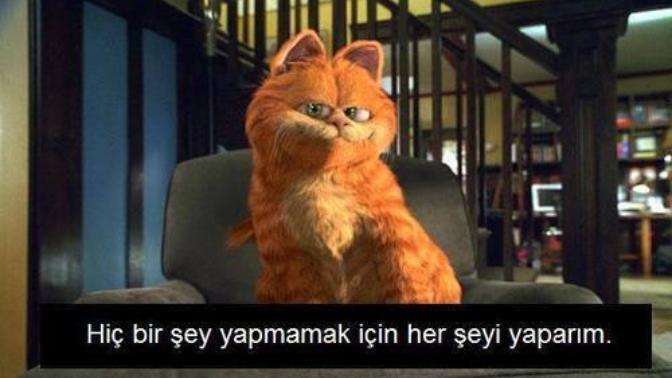 Hiçbir şey yapasım yok?