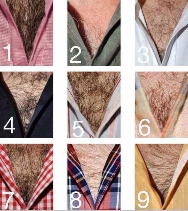 Hangi göğüs kılı hoşunuza gider?