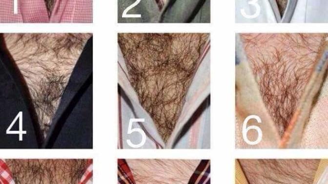 Hangi göğüs kılı hoşunuza gider?
