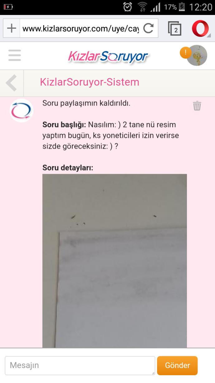 Yaptiğim resimi kaldirmişlar, pornoyla, nü yü ayırt edemeyen yoneticiler sizce haklimi. ?