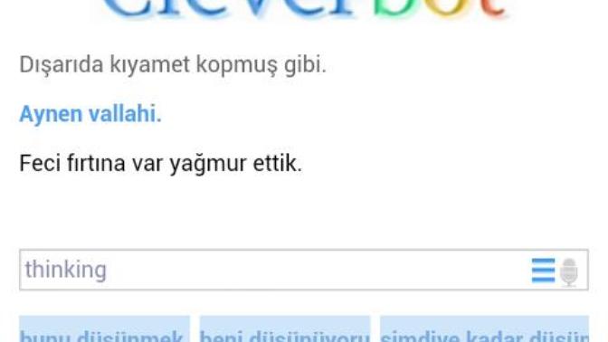 Cleverbot hakkında ne düşünüyorsunuz?