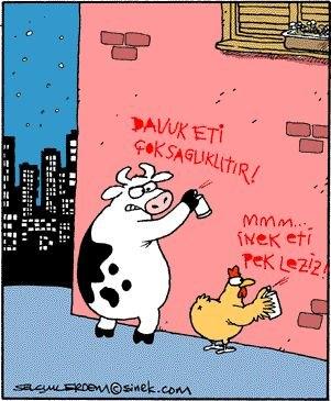 Tavuk eti mi, inek eti mi daha sağlıklı?
