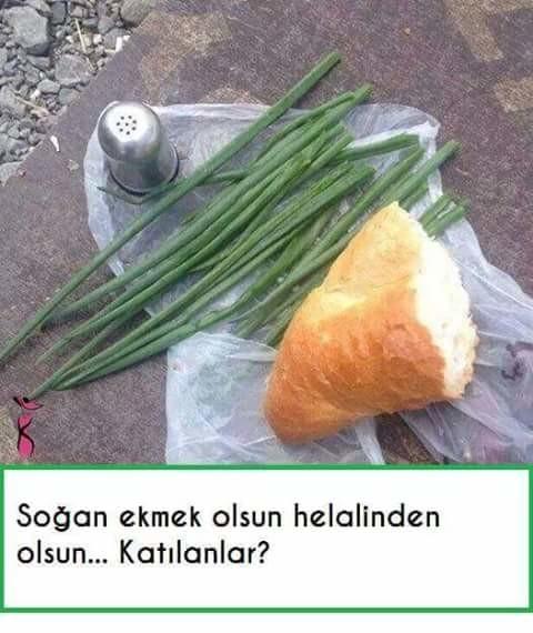 Soğan ekmek olsun. Helalinden olsun. Haksız mıyım ?