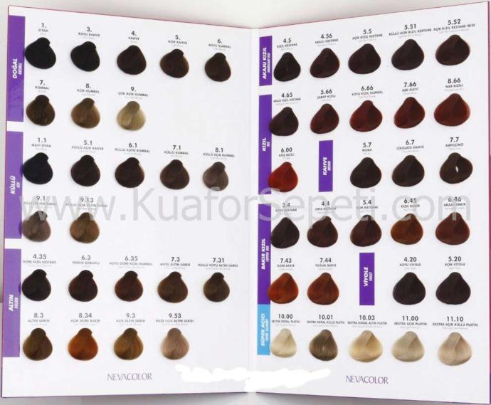 Neva Color gri saç boyası nasıl sizce?
