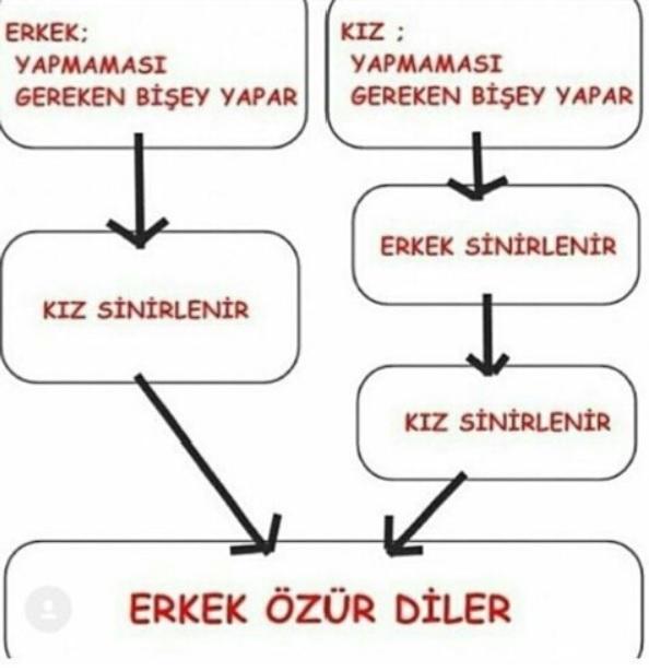 Neden hep erkekler özür diler?