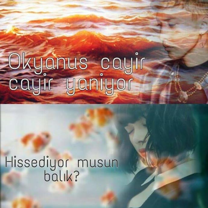 Ölüme fısıldayan adam okuyan var mı?