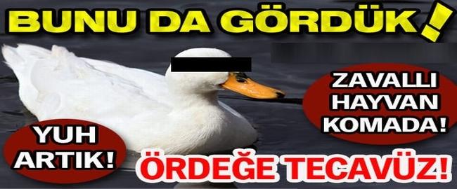 Türkiye'deki bu tecavüz olaylarından sizi en çok hayrete düşüren hangisi ? (ANKET no:13) ?