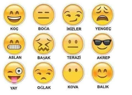burcunu sevmiyen var mı ? hangi burç olmak isterdiniz ?