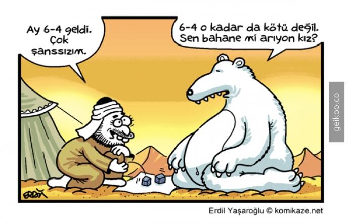 Kutup ayıları çok yalnız değil mi gerçekten?