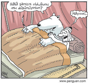 Kutup ayıları çok yalnız değil mi gerçekten?