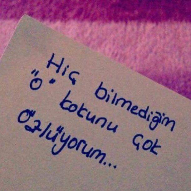 Kokusunu özleriz ya bir insanın, Bir insan ne kokar?