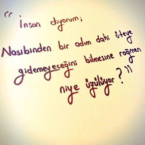 İnsan Nasibinden bir adım dahi öteye gidemeyeceğini bilmesine rağmen niye üzülüyor?