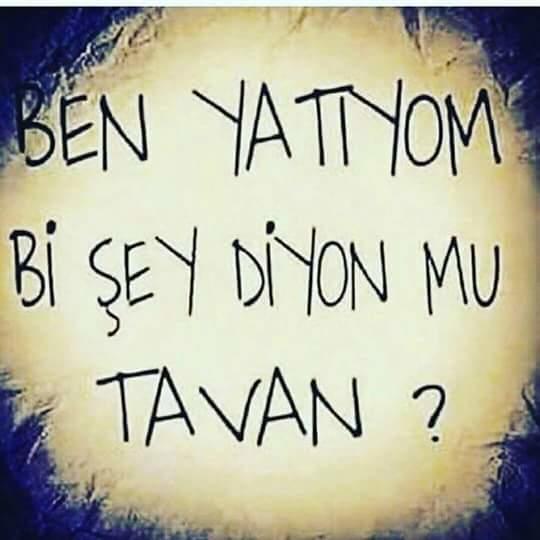 Şuan kimler bu durumda iyi geceler herkese cancanlar?